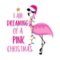 I am dreaming of a pink Christmas - funny flamigo in Santa hat and with Christmas lights