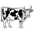 Hand-drawn, flat, vector cow outline design Royalty Free Stock Photo