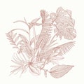 Set of three floral bouquets with vintage line hand drawn herbs, tropical leaves and insects in sketch style.