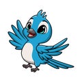 Cute blue jay cartoon on white background Royalty Free Stock Photo