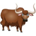 Cute yak cartoon on white background. Royalty Free Stock Photo