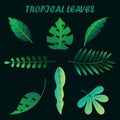 Tropical leaves set. Vector illustration