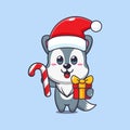 Cute wolf holding christmas candy and gift. Cute christmas cartoon character illustration.