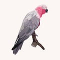 Hand-drawing pink parrot, tropical bird sitting on the branch.