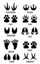 Set of different black animals and bird footprint. Silhouette imprint collection with text. Vector flat illustration isolated on w