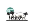 DORPER STUD SUPERIOR SHEEP BREEDER LOGO Royalty Free Stock Photo
