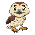 Cute falcon cartoon on white background