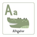 Alligator clipart. Alligator vector illustration cartoon flat style. Animals start with letter A. Animal alphabet card Royalty Free Stock Photo