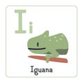 Iguana clipart. Iguana vector illustration cartoon flat style. Animals start with letter I. Animal alphabet card Royalty Free Stock Photo