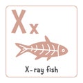 X-ray fish clipart. X ray fish vector illustration cartoon flat style. Animals start with letter X. Animal alphabet card