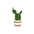 Cartoon cactus plant in a pot character mascot in black sunglasses