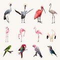 Big set of cute exotic birds illustration. Set of stickers, pins, patches