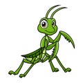 Cute mantis cartoon on white background