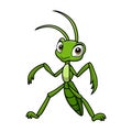 Cute mantis cartoon on white background