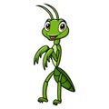 Cute mantis cartoon on white background