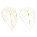 Luxury gold tropical line philodendron leaves set. Golden line art texture