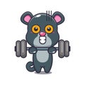 Cute panther lifting barbell cartoon vector illustration. Royalty Free Stock Photo