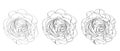 Set of hand-draw line rose collection. Flowers illustration. Great for wedding invitation and greeting cards