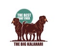 RED KALAHARI GOAT STANDING LOGO