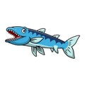 Cute barracuda fish cartoon on a white background Royalty Free Stock Photo