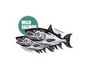 SALMON FISH SWIMMING LOGO,