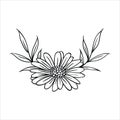 Flower vector.