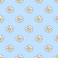 Seamless pattern with white flower. Daisy blossom. Chamomile. Spring and summer floral background. Royalty Free Stock Photo