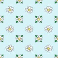 Seamless pattern with white flower and leaves. Daisy blossom. Chamomile. Spring and summer floral background Royalty Free Stock Photo