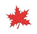 Vector of hand draw maple leaf Royalty Free Stock Photo