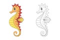 Seahorse line and color illustration.