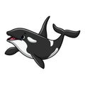 Cute orca cartoon a swimming