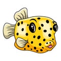 Cute funny cartoon pufferfish A smile