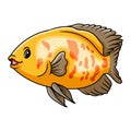 Oscar fish cartoon a swimming