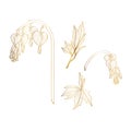 Hand drawn dicentra. Heartshaped golden line spring flowers set.