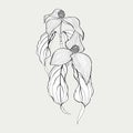 Dogwood branch with flowers. Cornus florida. Line drawing illustration.