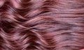 girls\' hair is smooth and soft because it is well maintained,