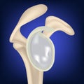 Realistic collarbone on a blue background. Anatomy of the glenoid cavity of the key joint. Realistic rendering