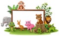 Cute wild animals cartoon with blank board Royalty Free Stock Photo