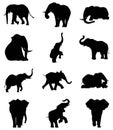 Elephant animal silhouette Royalty Free Stock Photo