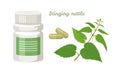 Stinging nettle capsules. Bottle of pills and green nettle plant.
