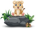 Cute leopard cartoon sitting on the stone Royalty Free Stock Photo