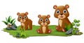 Cute family bear cartoon in the grass