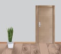 Wooden realistic door