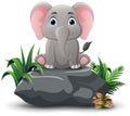 Cute elephant cartoon sitting on the stone Royalty Free Stock Photo