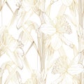 Floral seamless pattern, golden line daffodil flowers. Elegant floral hand drawn outline design Royalty Free Stock Photo