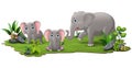 Cute family elephant cartoon in the grass Royalty Free Stock Photo