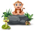 Cute monkey cartoon sitting on the stone Royalty Free Stock Photo