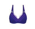 Purple woman bra