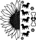 Sunflower dachshund, dog paw, dog, animal, pet, vector illustration file Royalty Free Stock Photo