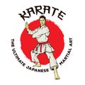 Karate Martial Art vector illustration t shirt and logo design Royalty Free Stock Photo